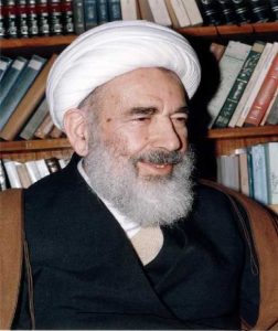 آیت الله صافی اصفهانی(ره)